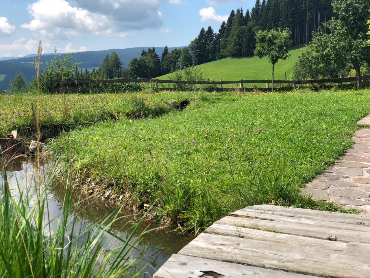 Вилла Waldheimathuette Санкт-Катрайн-ам-Хауэнштайн Экстерьер фото
