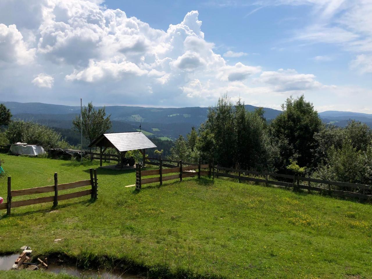 Вилла Waldheimathuette Санкт-Катрайн-ам-Хауэнштайн Экстерьер фото