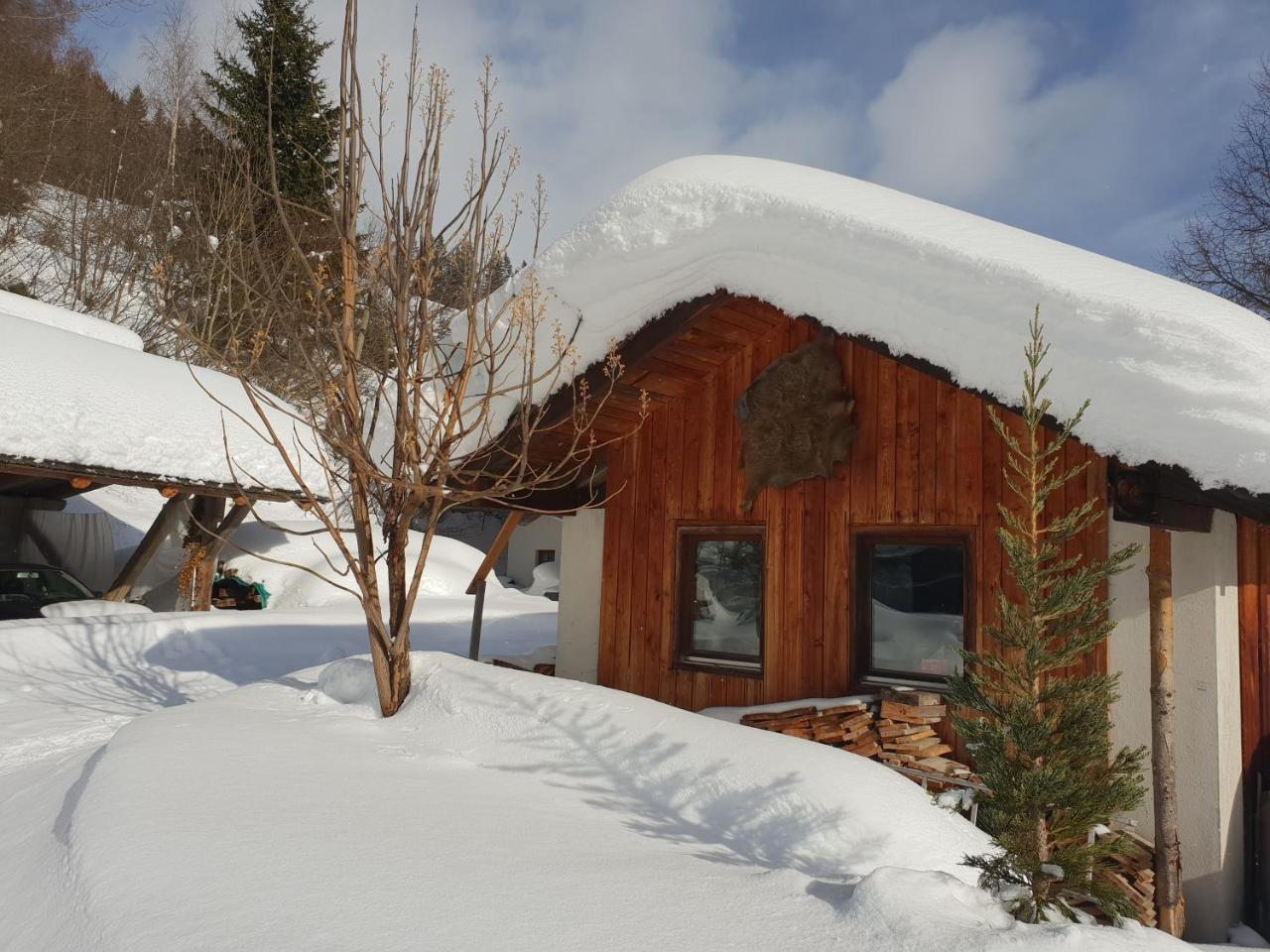 Вилла Waldheimathuette Санкт-Катрайн-ам-Хауэнштайн Экстерьер фото