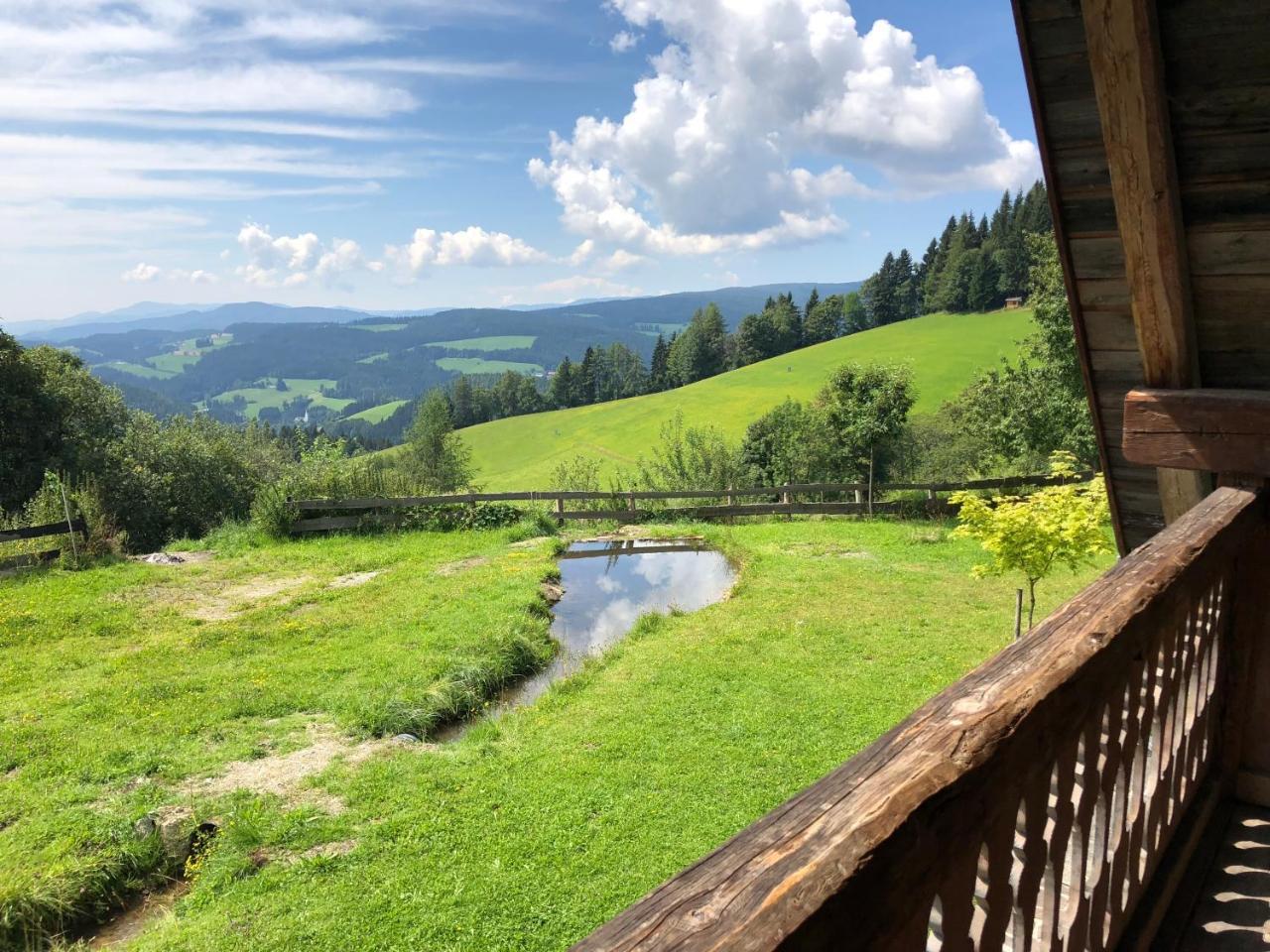 Вилла Waldheimathuette Санкт-Катрайн-ам-Хауэнштайн Экстерьер фото