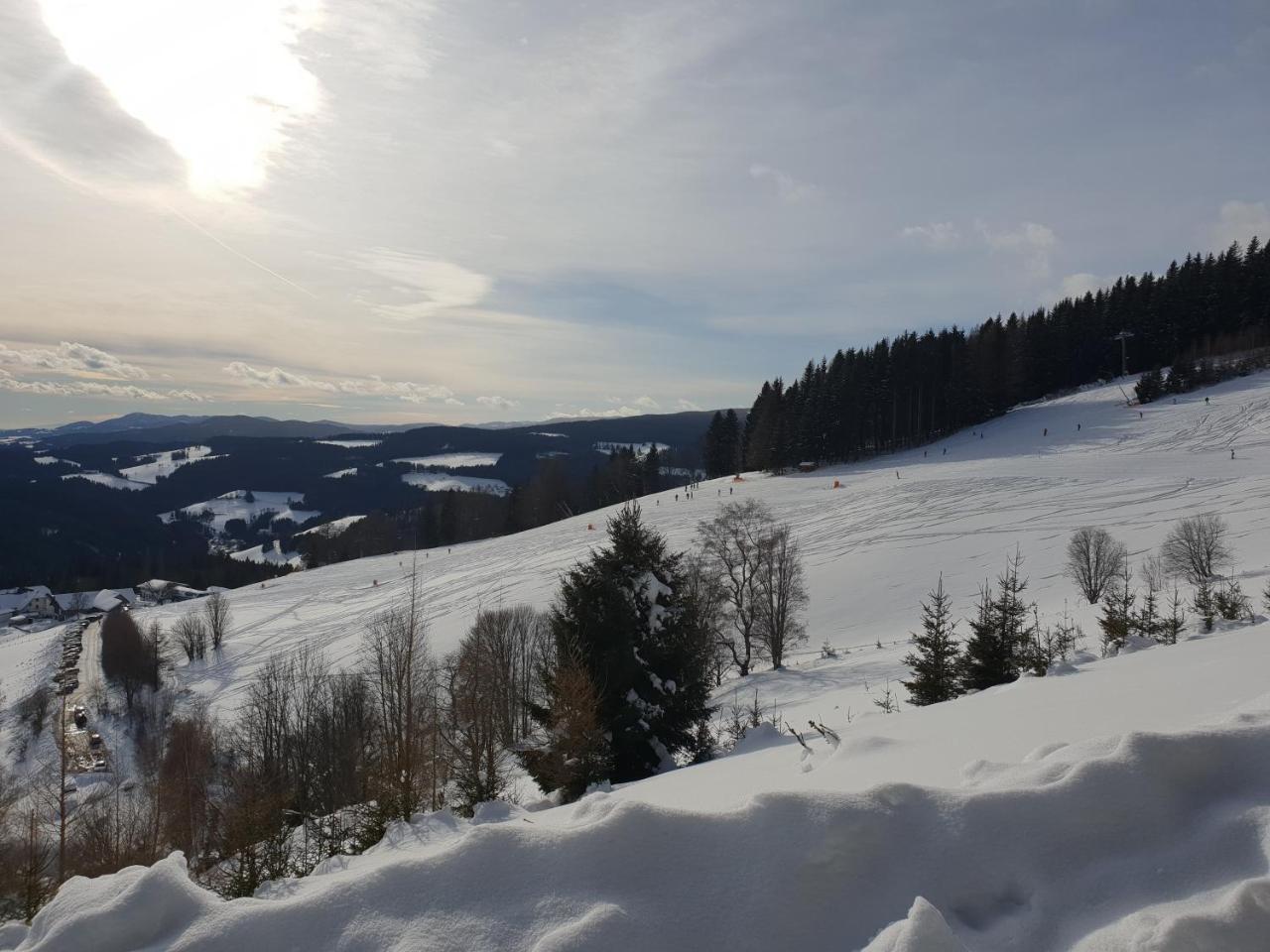 Вилла Waldheimathuette Санкт-Катрайн-ам-Хауэнштайн Экстерьер фото