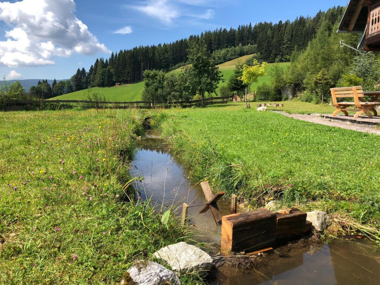 Вилла Waldheimathuette Санкт-Катрайн-ам-Хауэнштайн Экстерьер фото